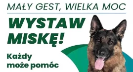 Mały gest, wielka moc – wystaw miskę!