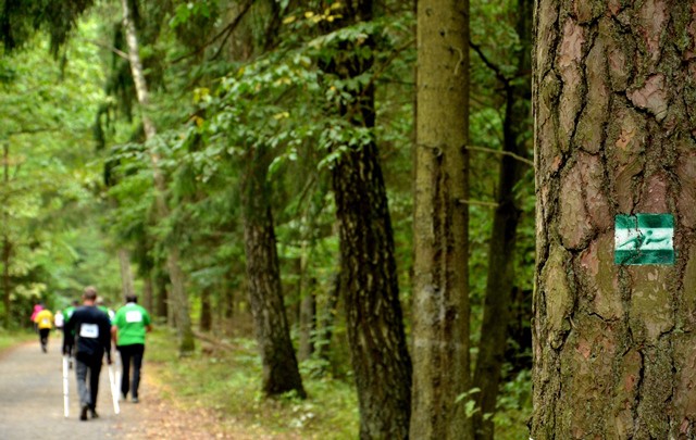 Puszcza Białowieska najlepszym miejscem na nordic walking