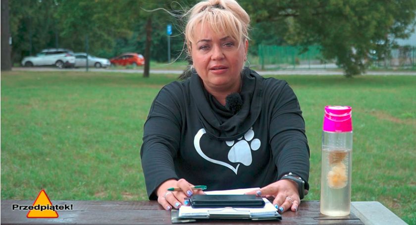 #Przedpiątek! Faszyści, wszędzie faszyści. Platforma jest zbędna w Polsce. Po przygody tylko do Grajewa