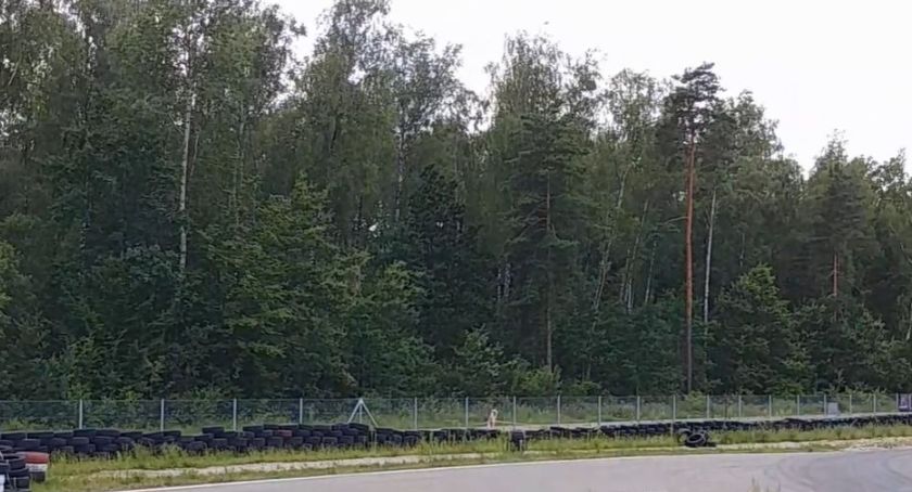 Magistrat w sprawie wycinki Lasu Solnickiego porozmawia z mieszkańcami. Owszem, po decyzji o wycince