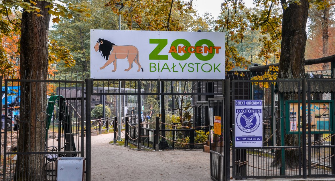 Niech magistrat przestanie się mazać i ustawi te stojaki na rowery
