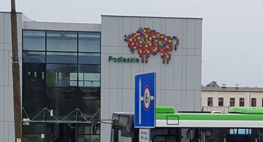 Gdy żubr jest szyszką, to może być mniej kontrowersyjny?