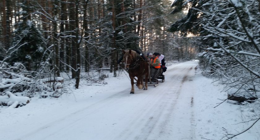 Białostocki WORD wyszkoli nawet w organizacji kuligów