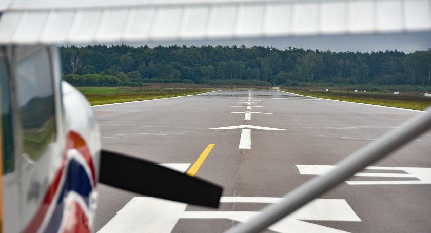 Walka o Las Solnicki wciąż trwa. Lasy Państwowe uważają, że drzewa nie powinny być wycięte