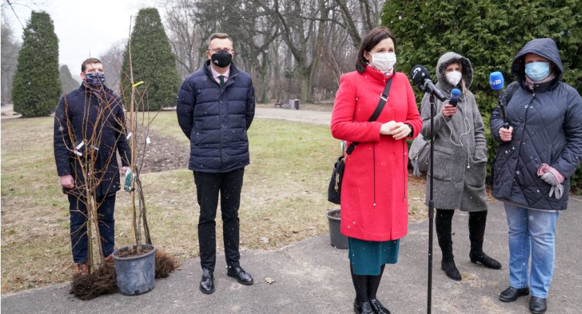 Pierwszego dnia wiosny urzędnicy rozdadzą białostoczanom sadzonki drzew