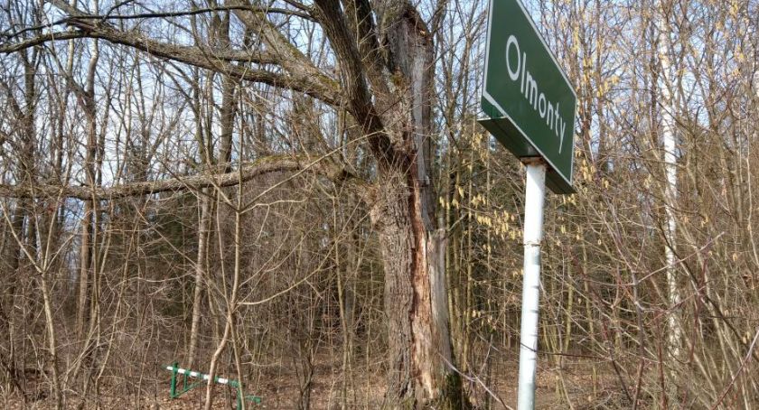 Lasy Państwowe nie zgadzają się na wycinkę Lasu Solnickiego. Złożyły skargę do WSA