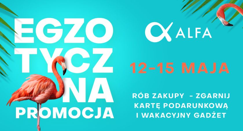 Egzotyczna promocja w Alfa Centrum – zgarnij kartę podarunkową i wakacyjny gadżet