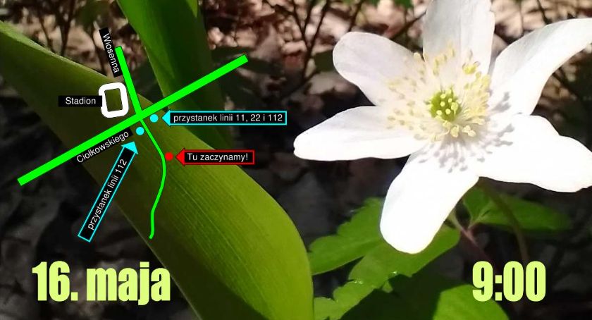 Sprzątanie Lasu Solnickiego w niedzielę zacznie się od strony Krywlan