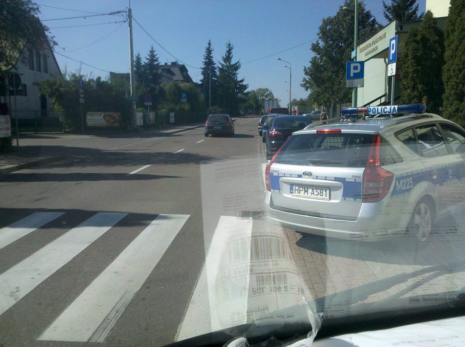 Wolność na zagrodzie