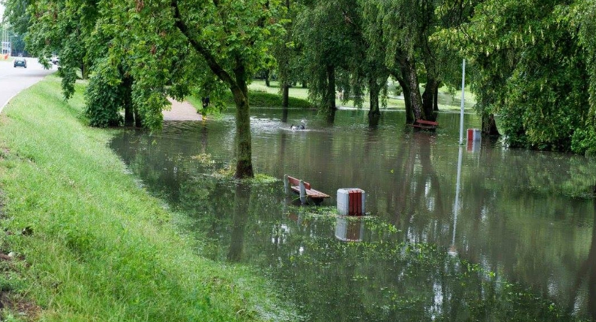 Wszystkiego najlepszego rodacy znad mokradeł