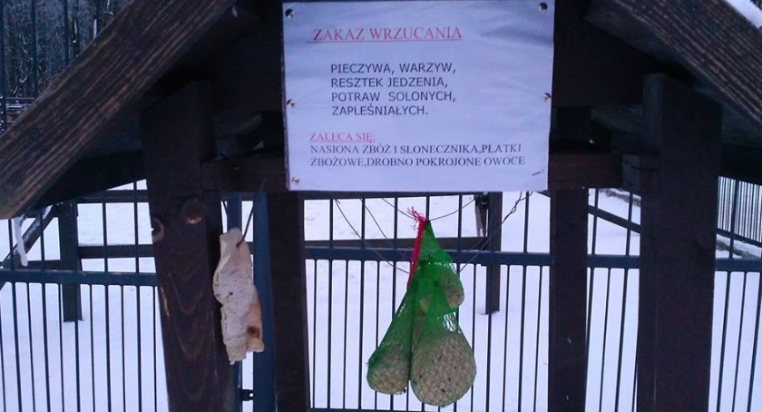 Zimą dokarmiajmy zwierzęta, ale z głową