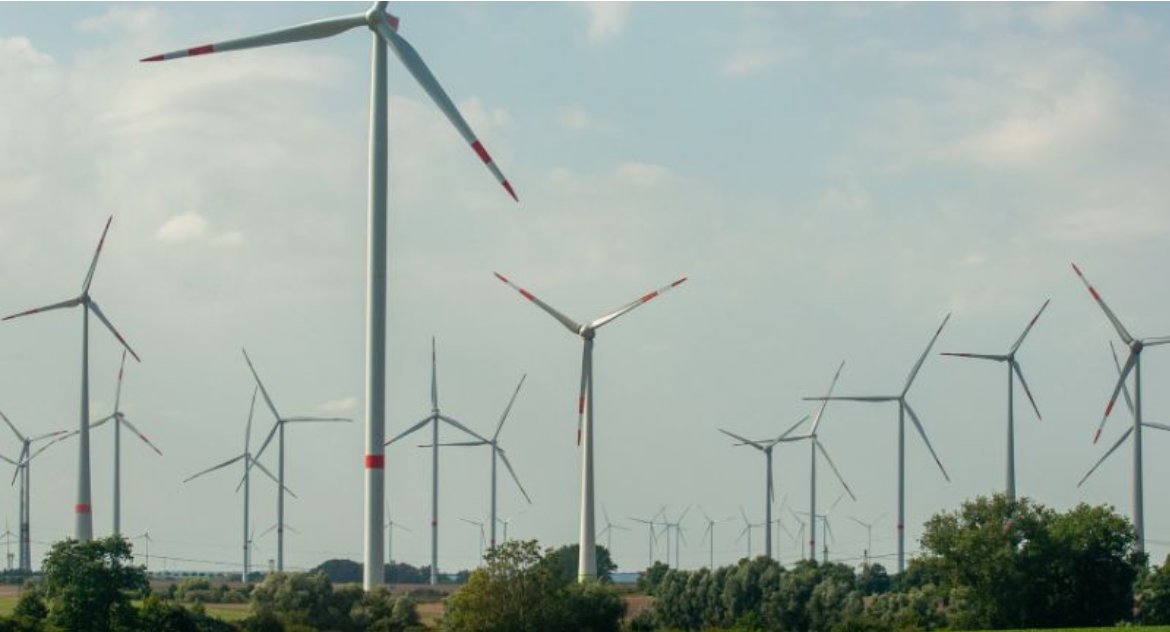 Polacy akceptują wiatraki obok siebie. I chcą zmian, dla klimatu