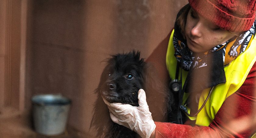 Pogotowie dla Zwierząt: policja w największym schronisku dla psów