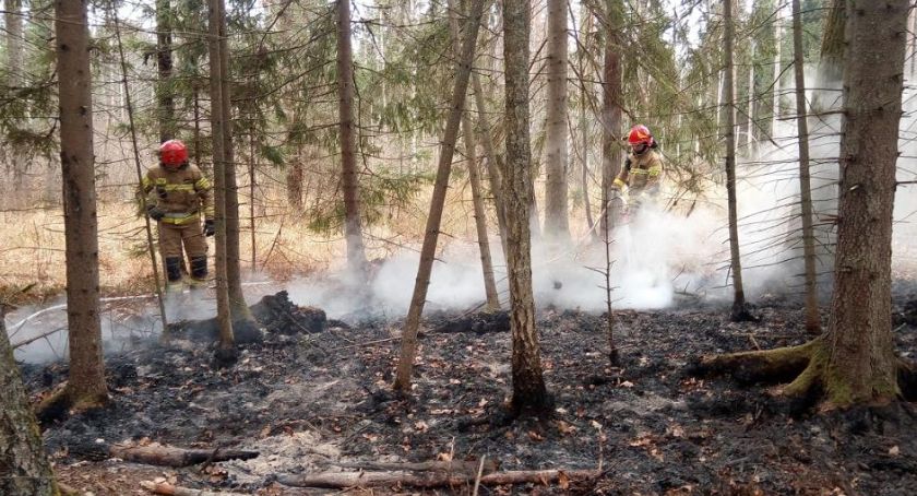 Przy Drodze Narewkowskiej paliła się duża warstwa ściółki. Akcja gaśnicza trwa około godziny