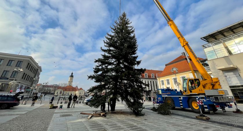 Choinka na Rynku Kościuszki już jest. Trzeba poczekać tylko chwilę na odpalenie lampek