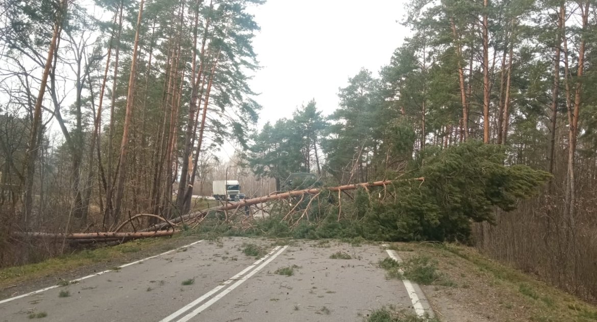 Sobotnie wichury uszkodziły pojazdy, blokowały pojazdy i stanowiły realne zagrożenia dla wszystkich innych