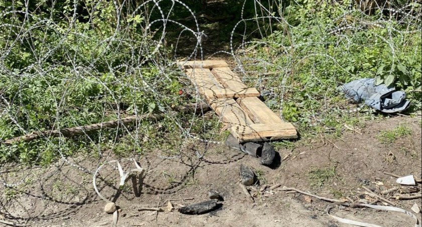Służby białoruskie pomagają nielegalnym migrantom w atakach i przedostawaniu się do Polski