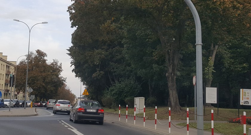 Podjazdu dla wózków inwalidzkich nie będzie bo w Parku jest za duże zadrzewienie