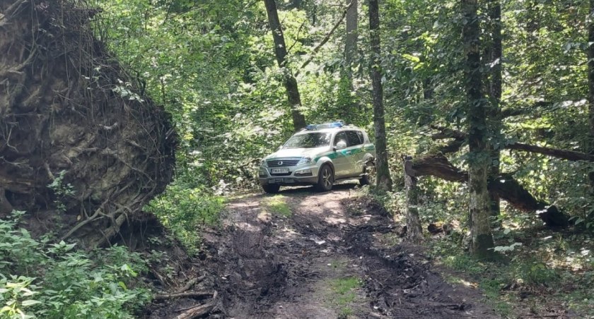 Kilkudziesięciu cudzoziemców próbowało wejść do Polski nieopodal Białowieży