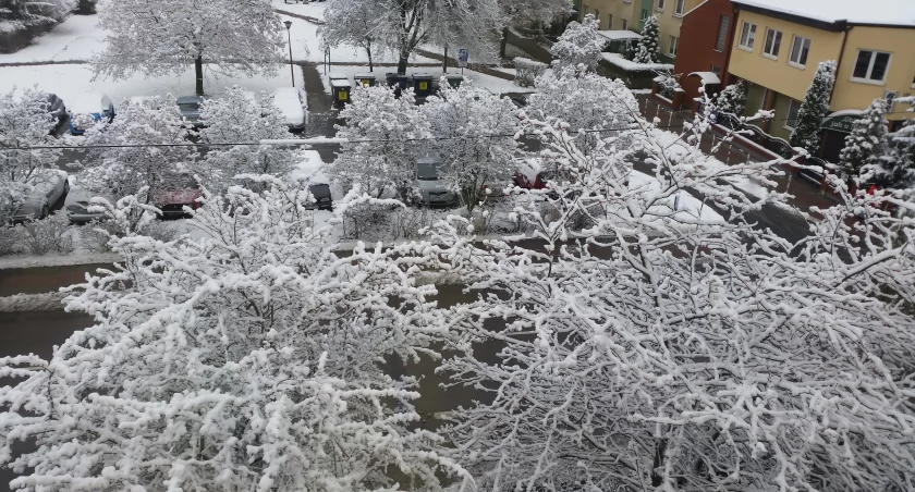 Śnieg na Podlasiu? Już spadł. Następny dopiero w grudniu