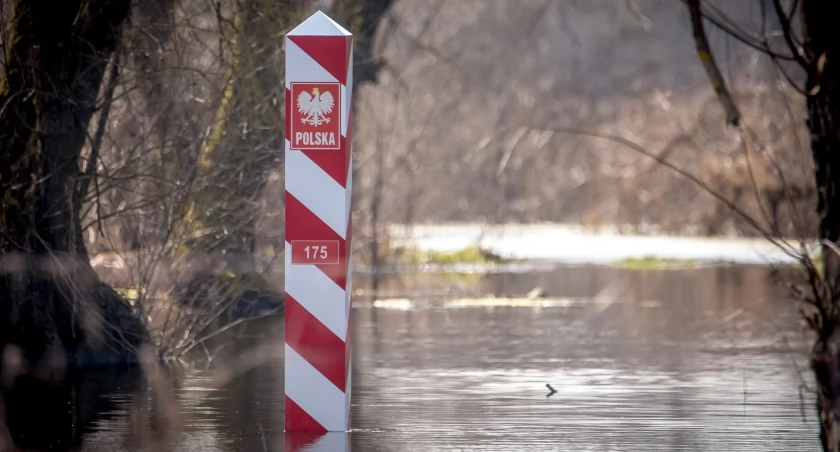 Kolejny Ukrainiec zatrzymani za pomocnictwo w nielegalnym przekraczaniu granicy. Straż Graniczna zatrzymała też 120 nielegalnych migrantów