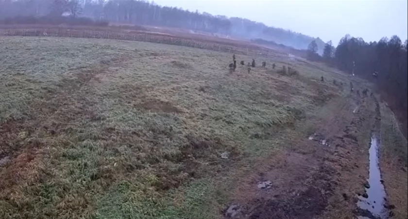 Jedni cudzoziemcy atakują polskich strażników granicznych, inni złapani zostali w momencie nielegalnego przekraczania granicy