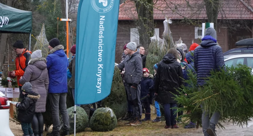 Leśnicy rozpoczęli tegoroczne choinkobranie
