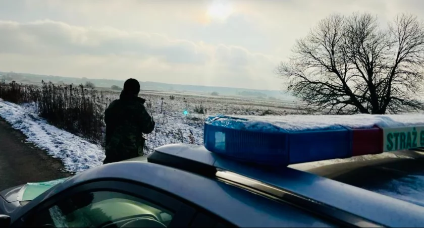 Polskie patrole pod białoruską granicą zostały obrzucane płonącymi konarami
