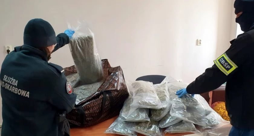 22 kilogramy marihuany za 900 tys. zł przewoził kierowca ciężarówki