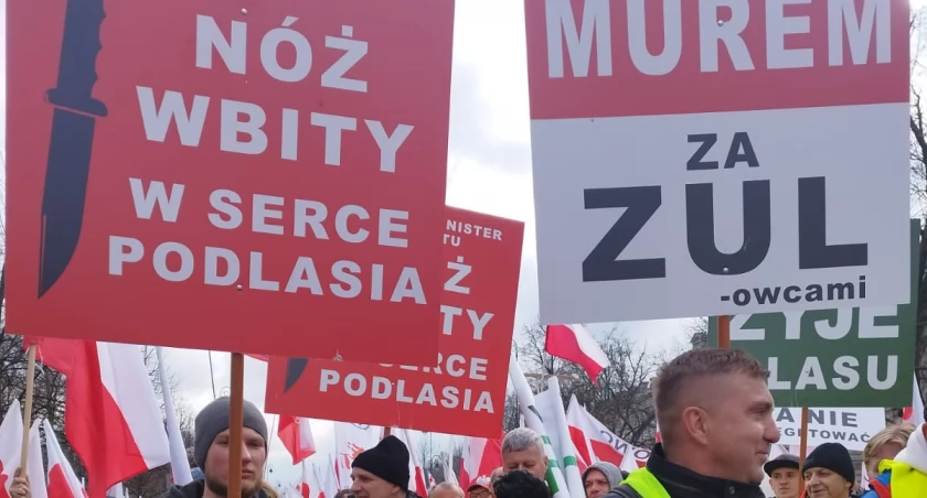 Dramat podlaskiej branży drzewnej: Grożą nam upadłości i zwolnienia ludzi. Chcemy prawdziwego dialogu!