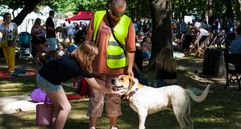 Piknik z psem: poznaj czworonożnych mieszkańców schroniska