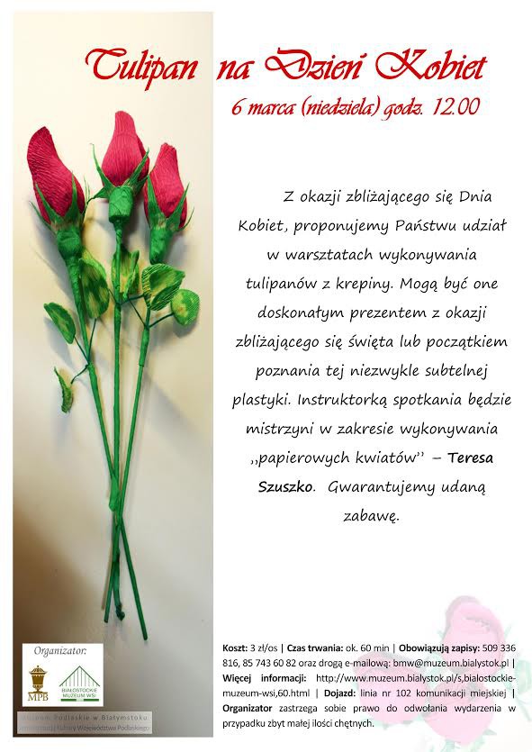Tulipan na Dzień Kobiet