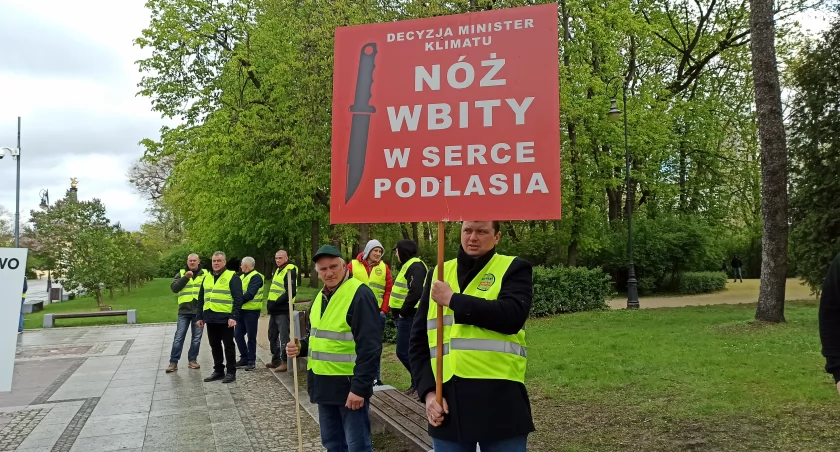 Moratorium przedłużone, wycinka drzew wstrzymana do końca września. Branża drzewna załamana