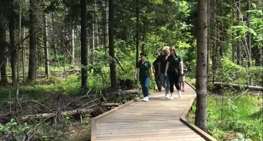 Kładka w Rezerwacie Krzemianka po remoncie znów służy turystom