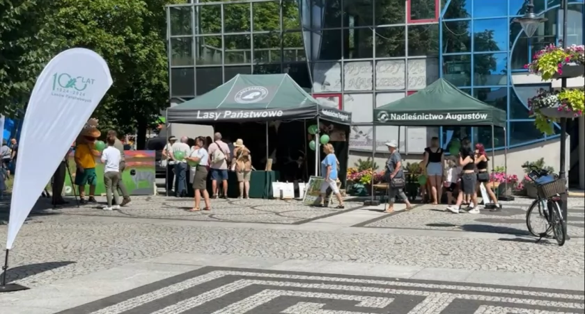Festyn Królewskiej w Puszczy Augustowskiej