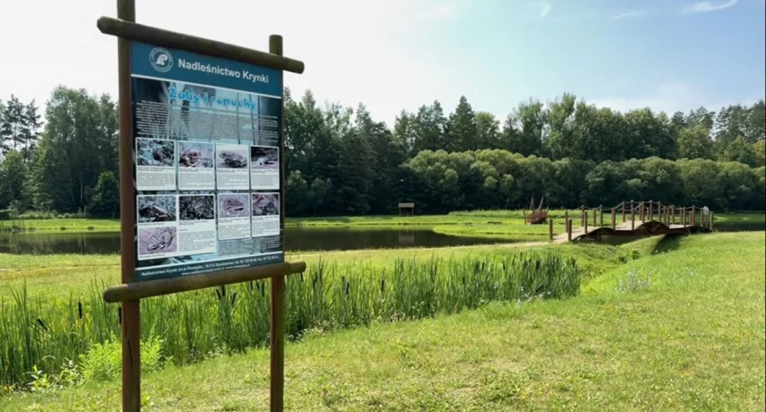 Silvarium – atrakcja turystyczna w Puszczy Knyszyńskiej