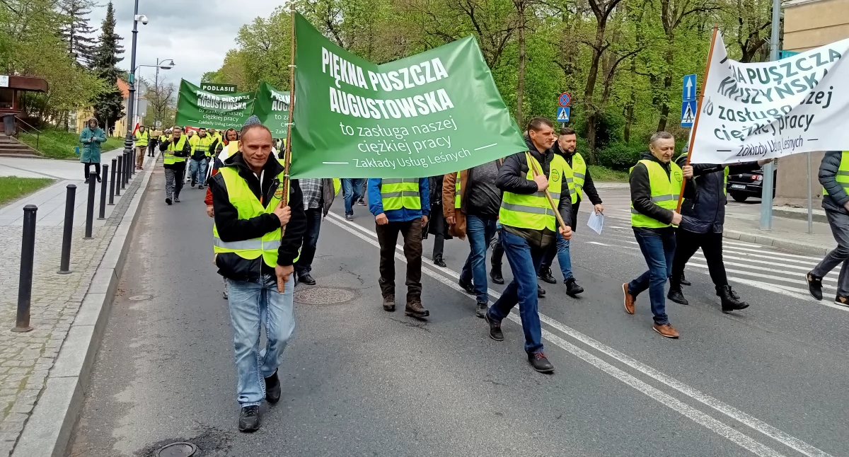 Protest Branży Drzewnej o działaniach Greenpeace: Nieuczciwa praktyka! Takie konsultacje to fikcja!