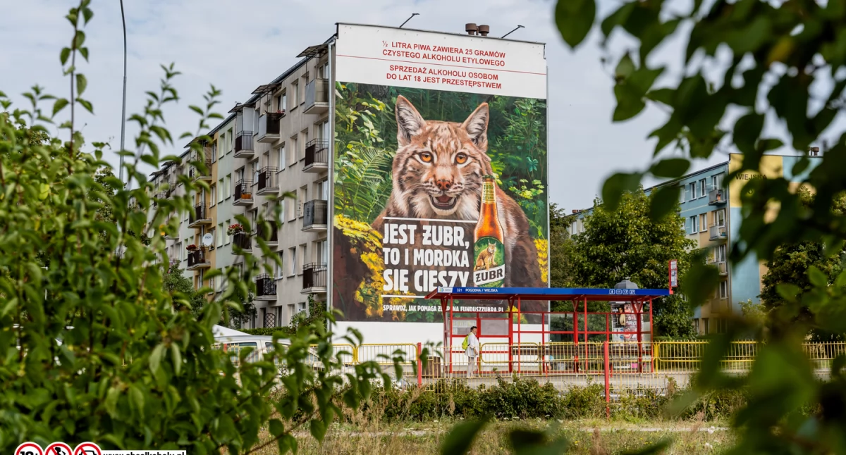 Przy Pogodnej powstał antysmogowy mural z Rysiem