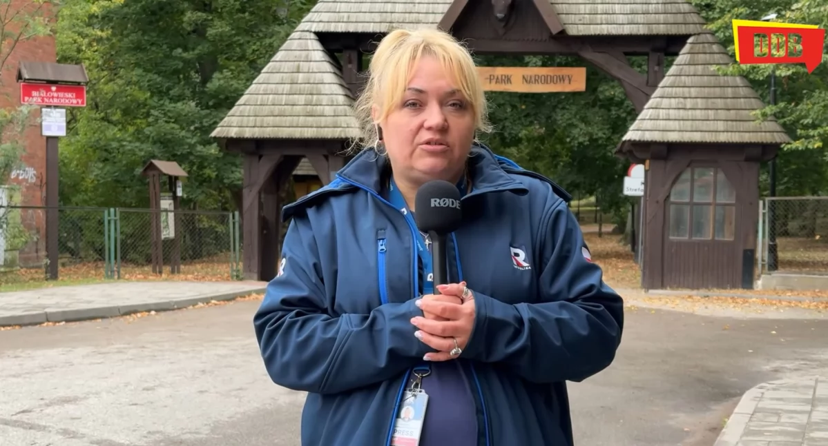 Białowieży grozi likwidacja 3 nadleśnictw w Puszczy Białowieskiej! 