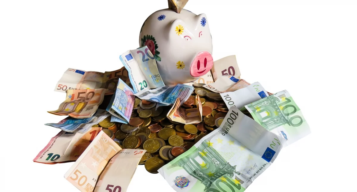 Money, money, money.eu czyli na co można dostać dotacje na Podlasiu? cz.6