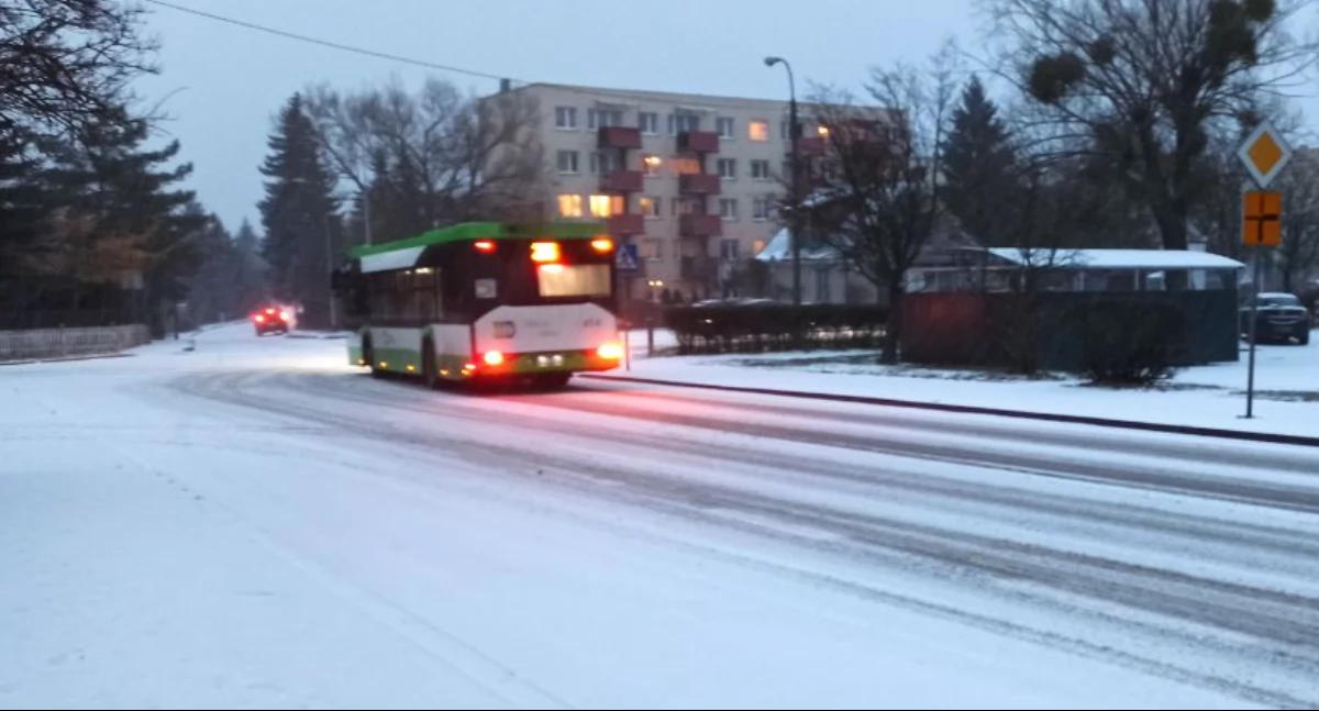 Nadciąga zima: szykujmy się na mróz i śnieg. Już niedługo! 