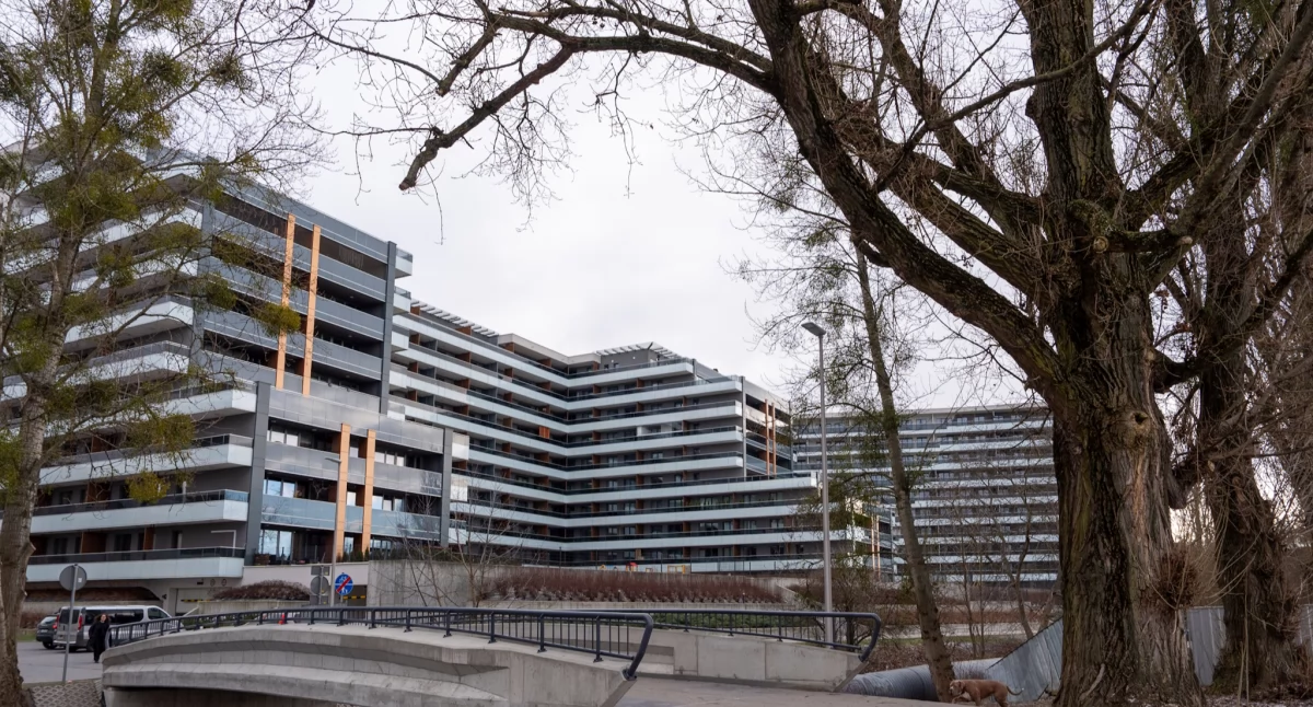 Kładka na Włókienniczej wreszcie otwarta. Studium sukcesu czy przykład niemocy? (WIDEO)