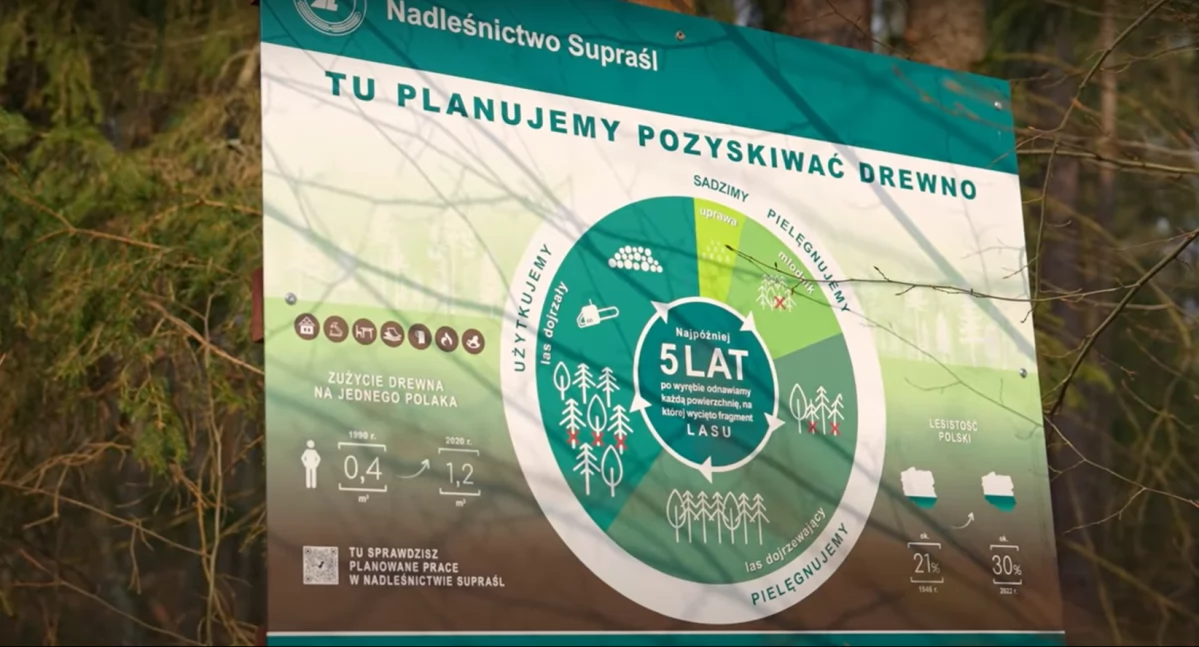 Nie dla moratorium wycinki drzew! Umiera nie tylko branża drzewna ale i puszcza! (WIDEO)