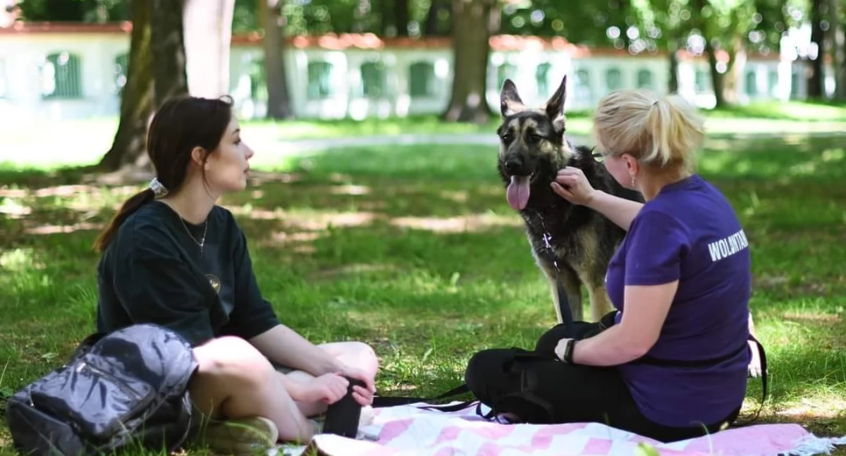 Poznaj psiaki ze schroniska podczas niedzielnego spaceru