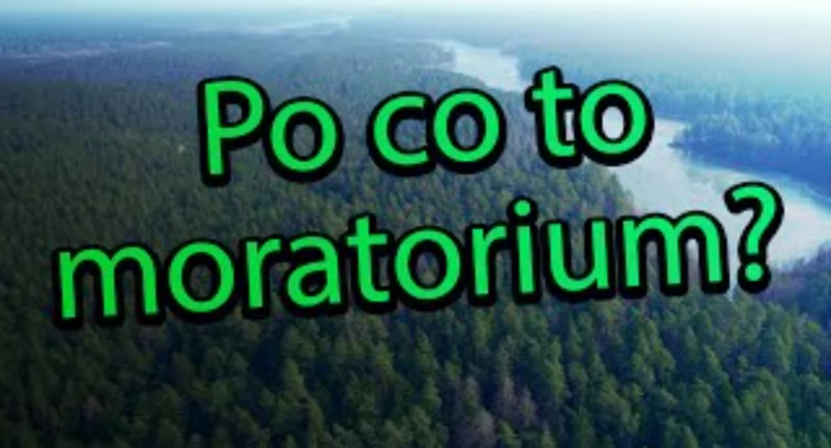 Po co to moratorium. Kto na tym traci i dlaczego? (WIDEO)