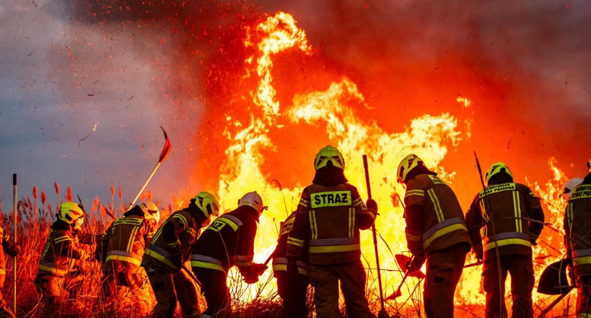 Spłonęło prawie 90 hektarów Biebrzańskiego Parku Narodowego!