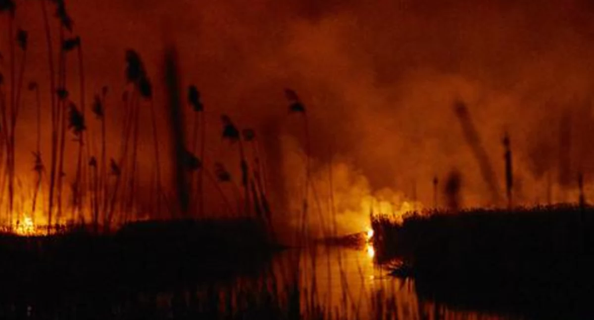 Pożary nad Biebrzą. Groźny wypadek czy podpalenie? 