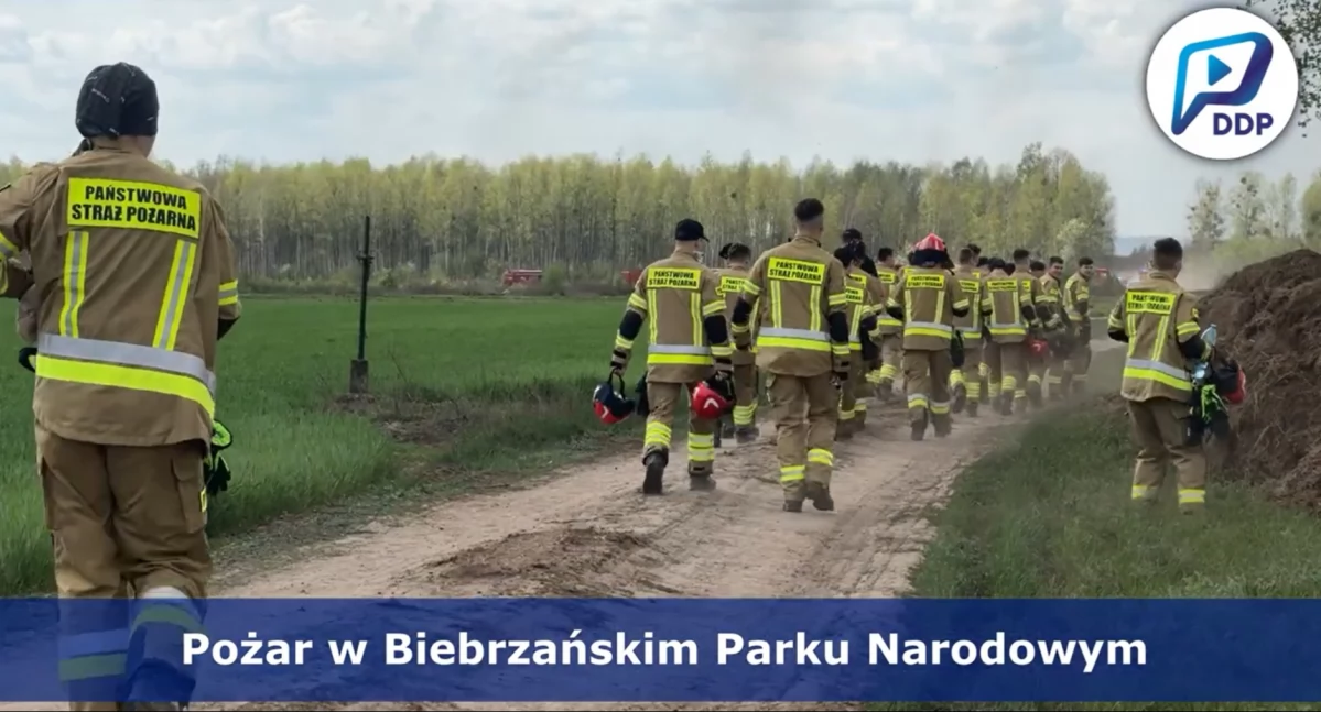Biebrza ciągle ogniu. Ale jest nadzieja na stabilizację (WIDEO)