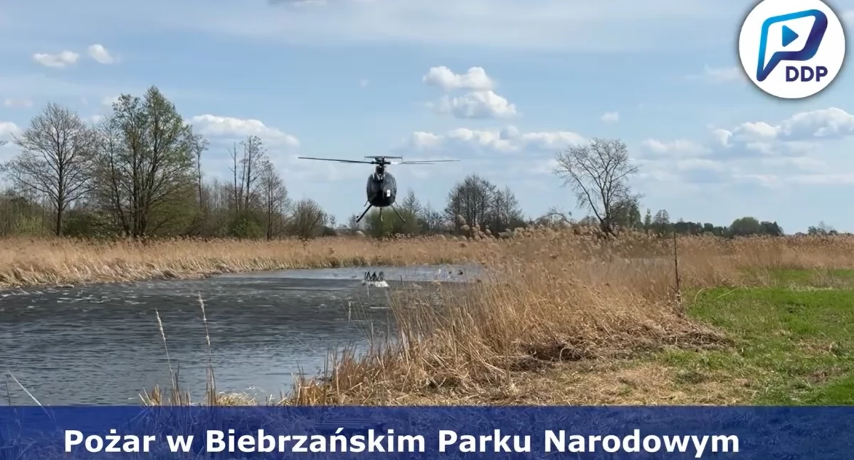 Pożar nad Biebrzą: Czy to było podpalenie? Policja szuka sprawców, przyrodnicy liczą straty (WIDEO)