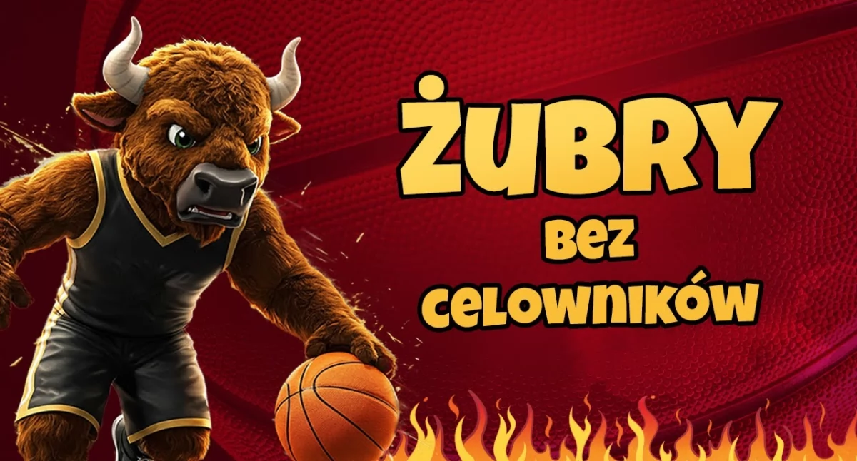 Żubry bez celowników. W sobotę rewanż w Katowicach (WIDEO)